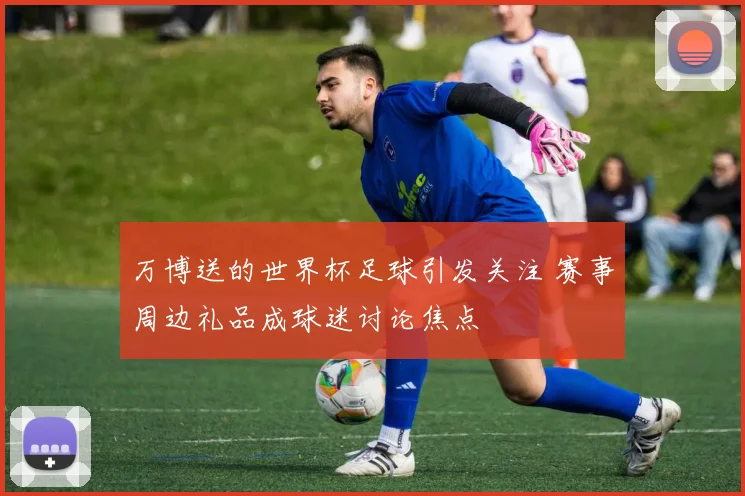 万博送的世界杯足球引发关注 赛事周边礼品成球迷讨论焦点