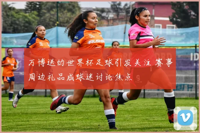 万博送的世界杯足球引发关注 赛事周边礼品成球迷讨论焦点