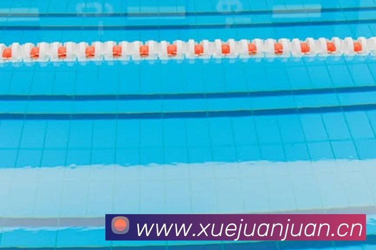 App Interface Preview